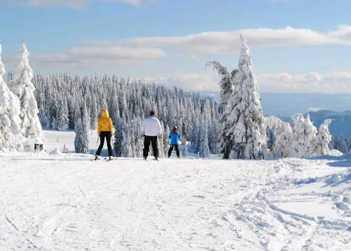 Sam In Grand Monastery Pamporovo